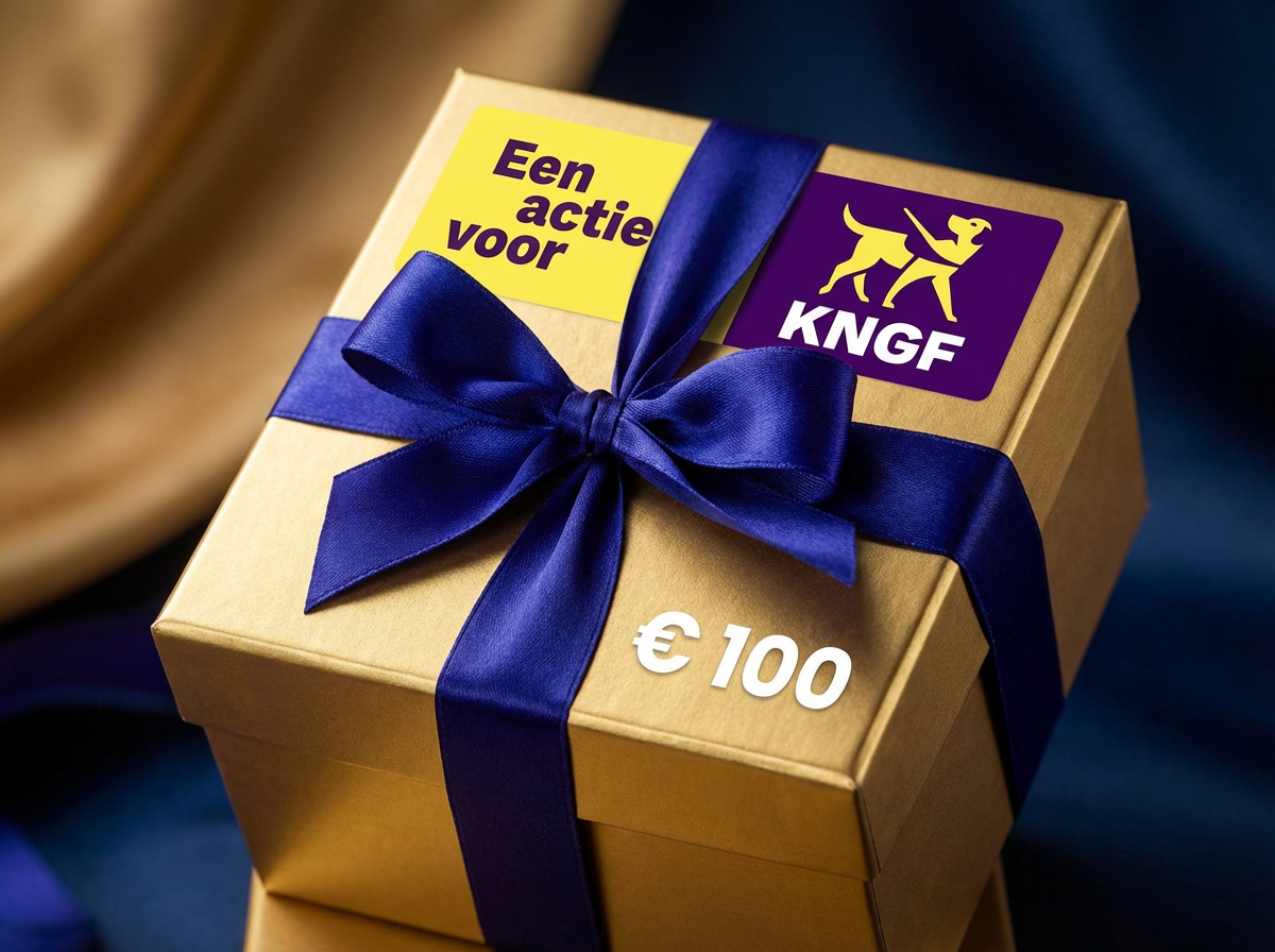 FestFashion Winactie